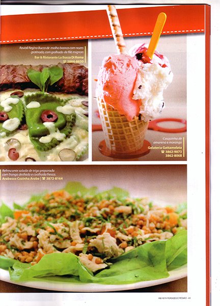 Revista Perdizes